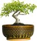 8" Ceramic Bonsai Pot – Round Indoor Planter with Drainage & Tray for Succulents & Decorative Plants